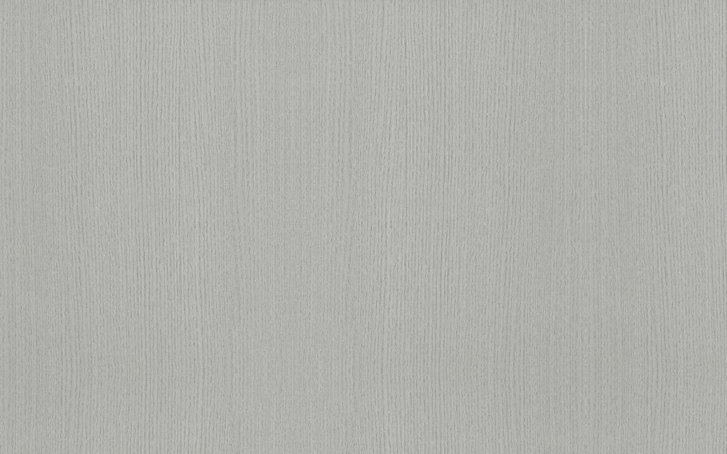 Solid light gray wood swatch
